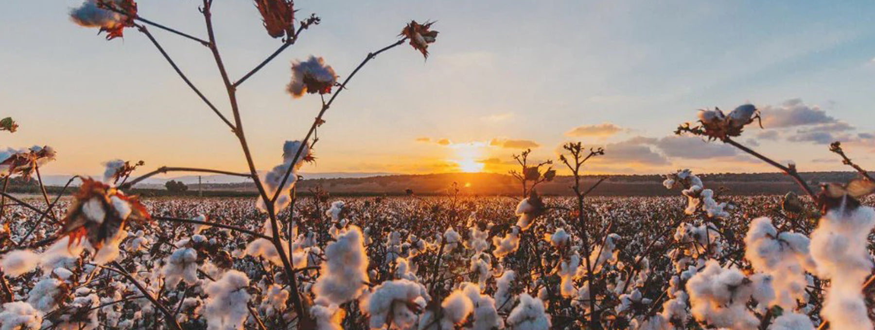 Why should I care about Fair Trade T-shirts in 2025?