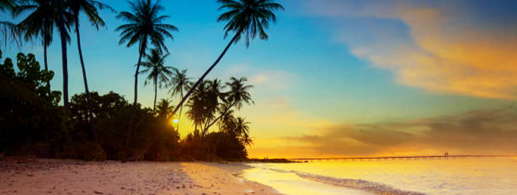 high quality tshirt for men and women made in LA