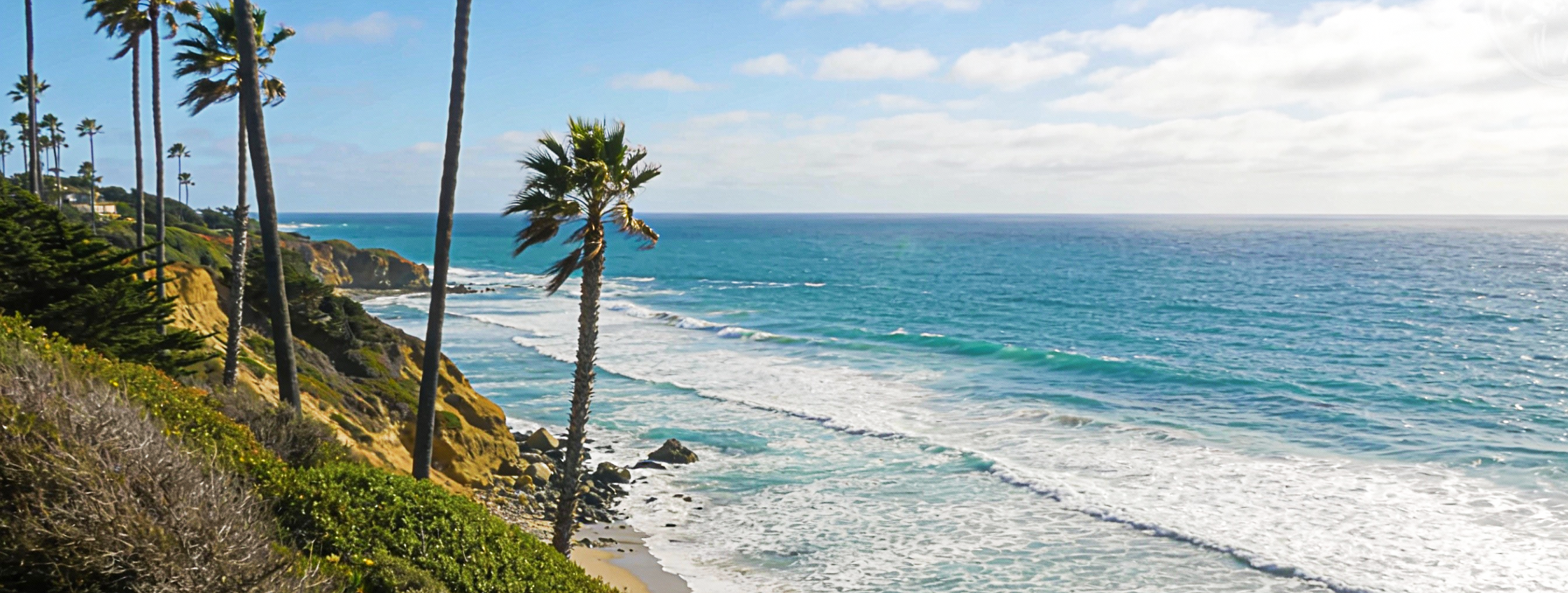 LA-made clothing: our T-shirts are proudly Made in California