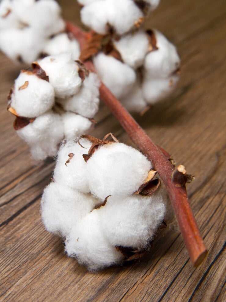 The Cotton You Wear Matters: Making a Smarter Fabric Choice in 2025