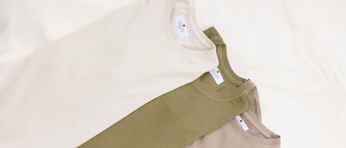 Dune · Ivory · Olive