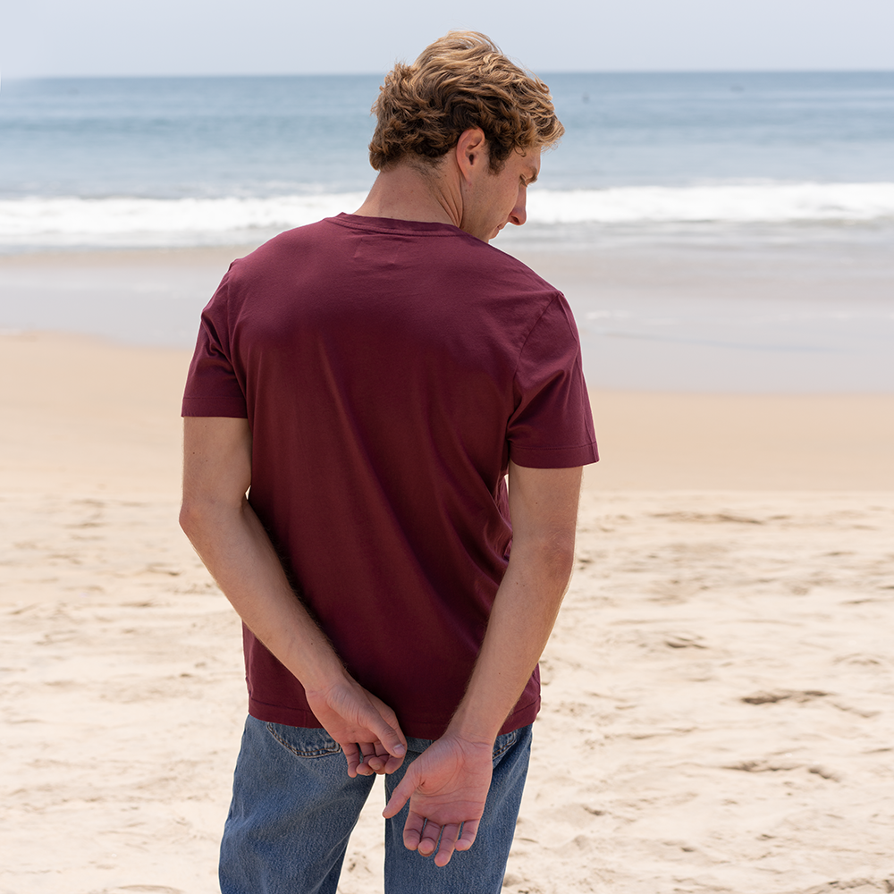 #color_burgundy organic cotton V-Neck t-shirt Back