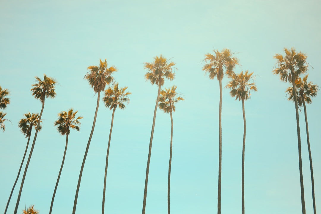 The Classic Tshirt Made in LA California Locally produced clothing USA