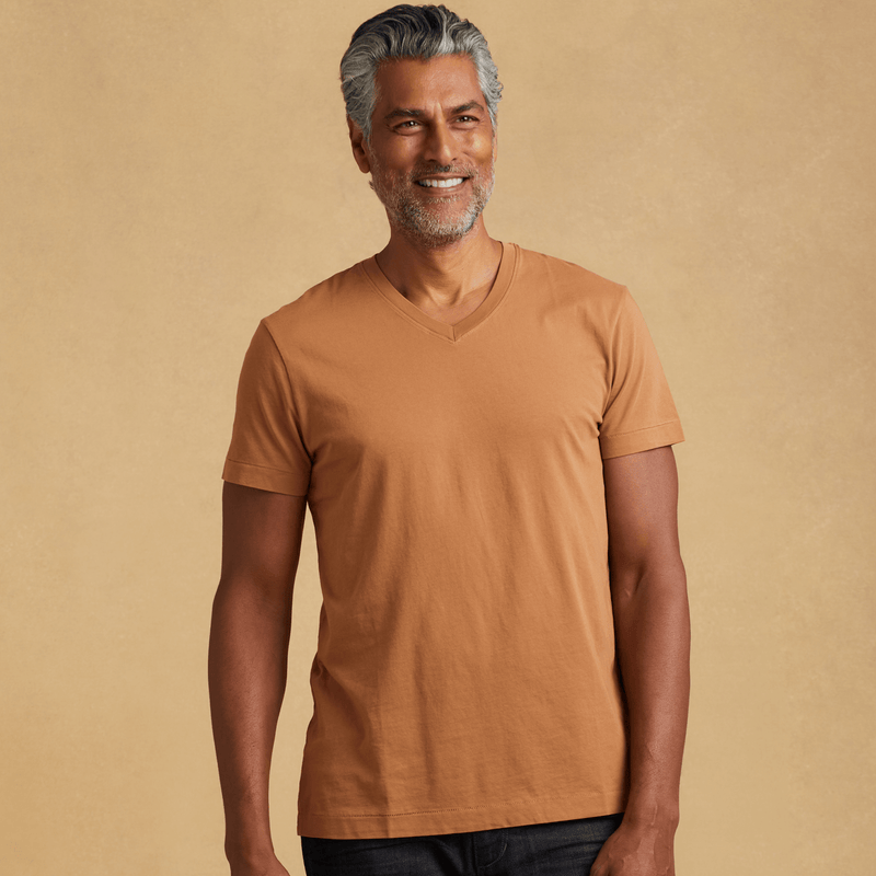 Mens short sleeve V-neck Classic T-Shirt – The Classic T-Shirt Company