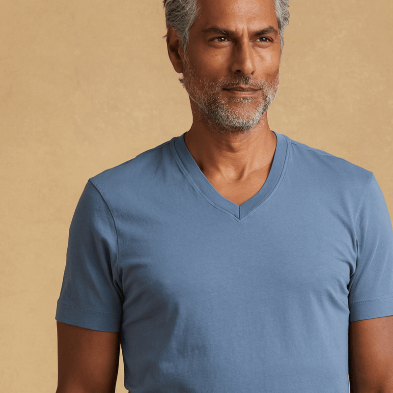 Mens short sleeve V-neck Classic T-Shirt – The Classic T-Shirt Company