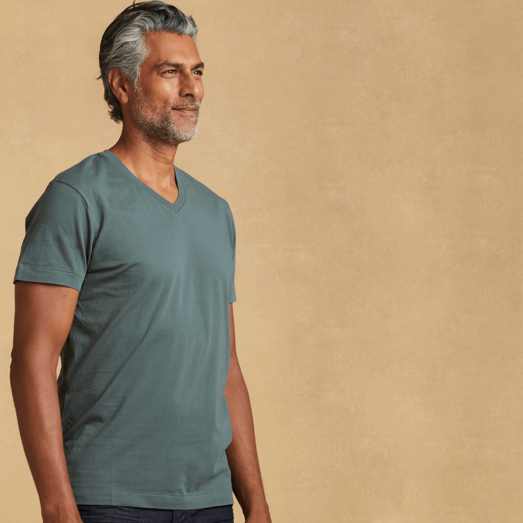 Mens short sleeve V-neck Classic T-Shirt – The Classic T-Shirt Company