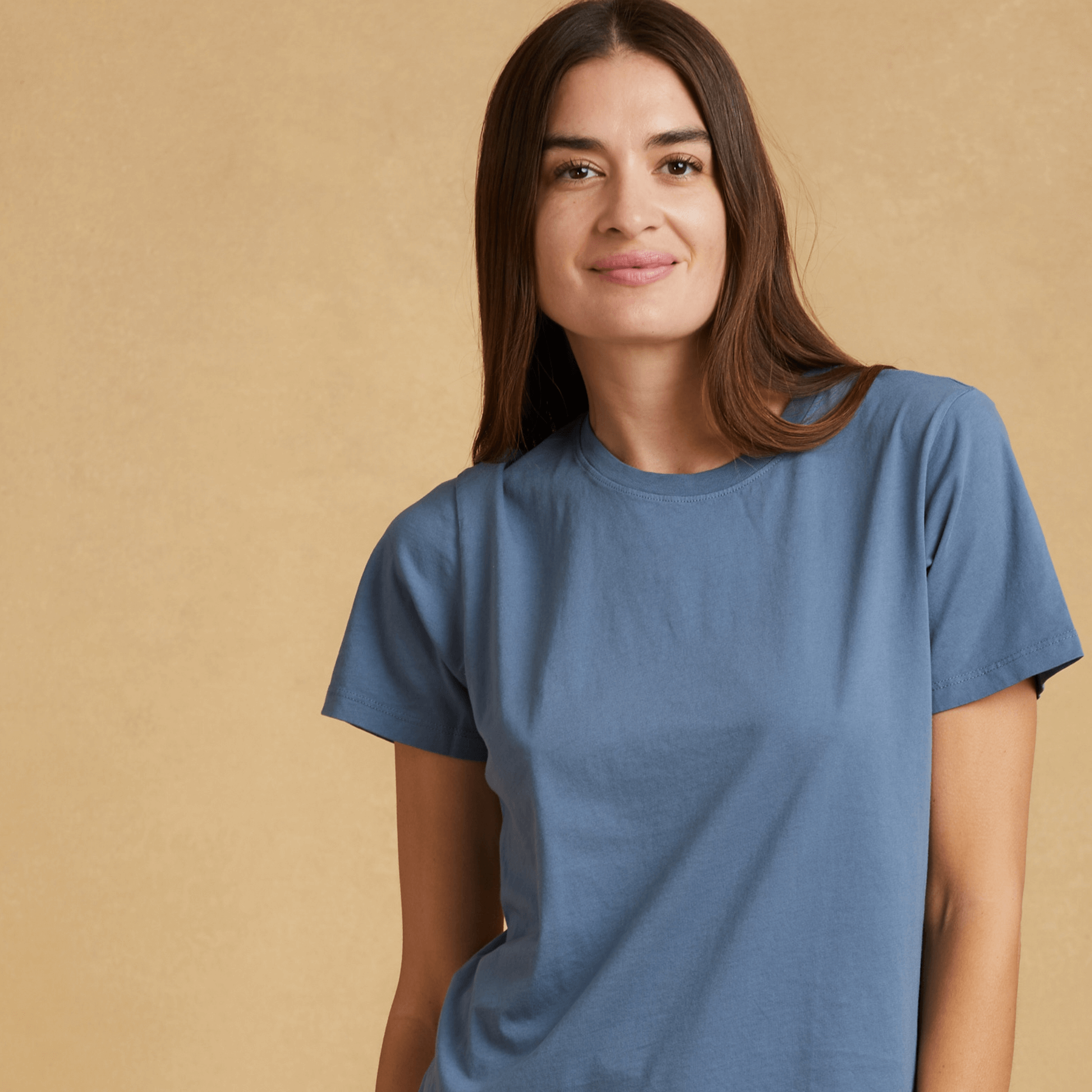 #color_dusk-blue organic cotton t-shirt